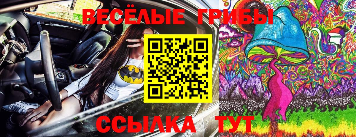 Псилоцибиновые грибы мицелий Коммунар