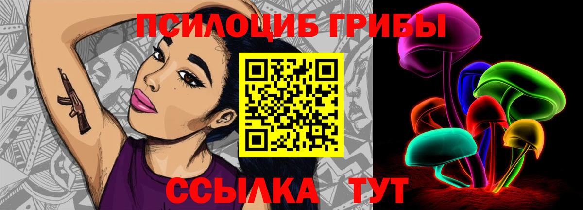 Псилоцибиновые грибы GOLDEN TEACHER  Вход с VPN  Галлюциногенные грибы MAGIC MUSHROOMS  Коммунар 